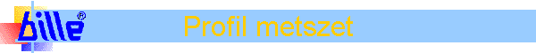Profil metszet