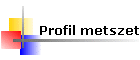 Profil metszet